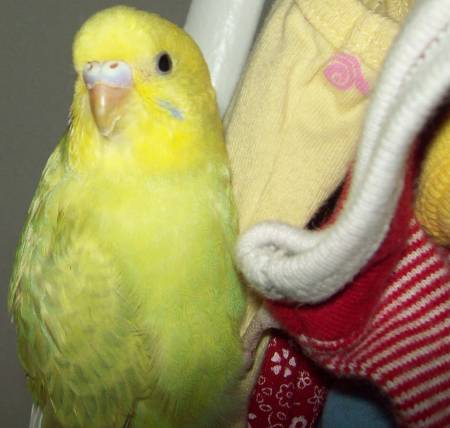 100_1707.JPG