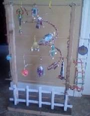 Chippy & playgym 2011 015 small.jpg