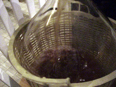 Dandelion Wine