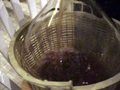 Dandelion Wine