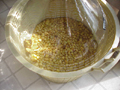 Dandelion Wine