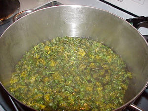Dandelion Wine