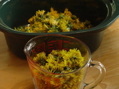 Dandelion Wine