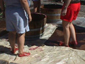 Mellea Wines