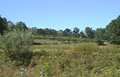 Mellea Wines
