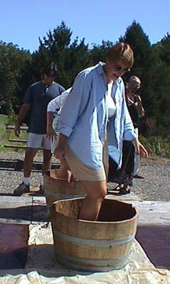 Mellea Wines