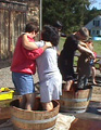 Mellea Wines