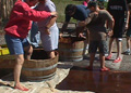 Mellea Wines