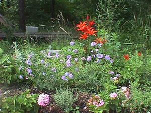 Flowers