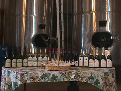 Clinton Vineyards