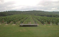 Millbrook Vineyards