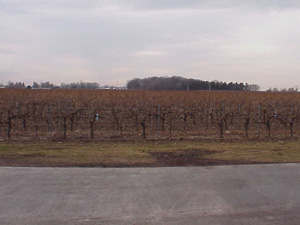 Konzelmann Winery