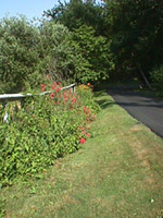 Road