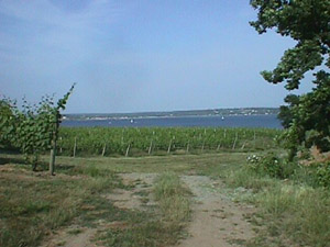 Great View2